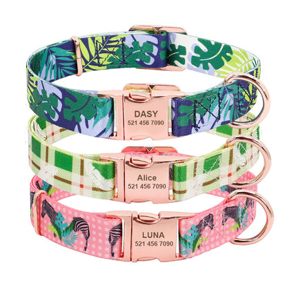 3 Different Pet Collar