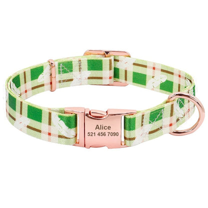 Green Box Pet Collar