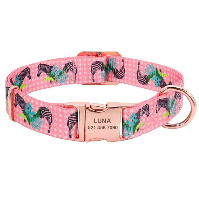 Pink Zebra Pet Collar