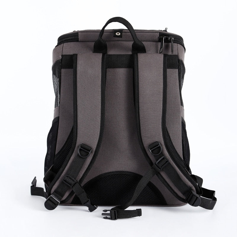 Gray Cat Bubble Backpack Front