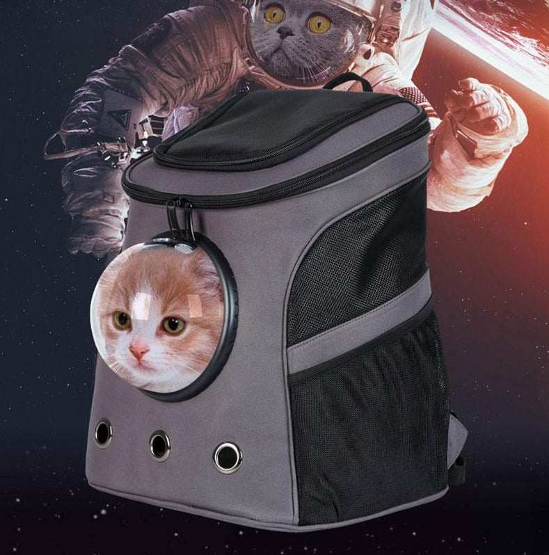Gray Cat Bubble Backpack