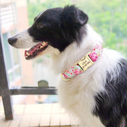 Pink Floral Pet Collar