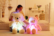 Multi Color LED Teddy Bear